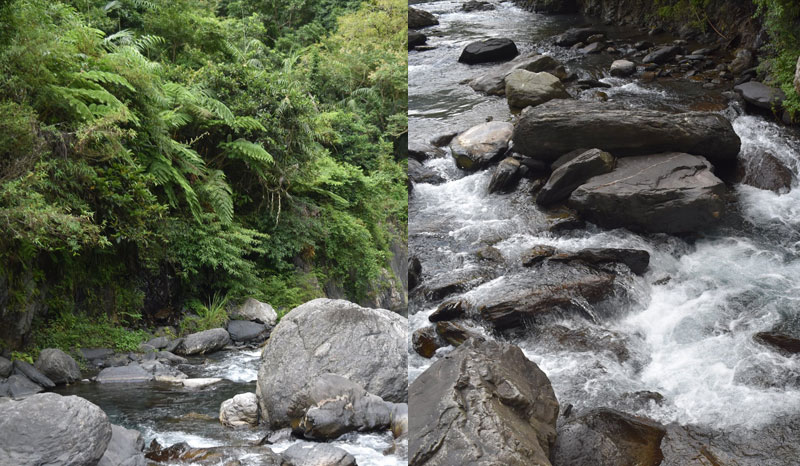 寒溪農場戲水池+戲沙區